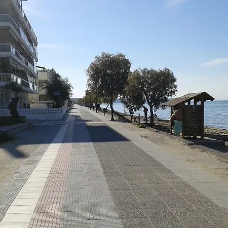 Appartement Sunny *